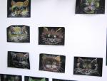 Gatti
