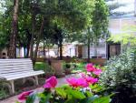 Scorcio del giardino della Comuinità Piergiorgio