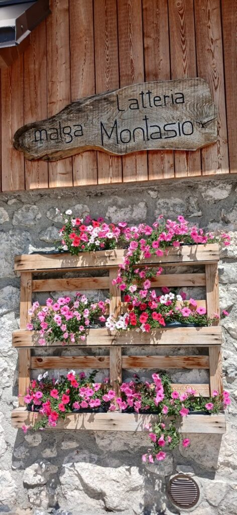 Insegna in legno della Latteria Malga Montasio con fioriera di petunie rosa sulla parete in pietra.